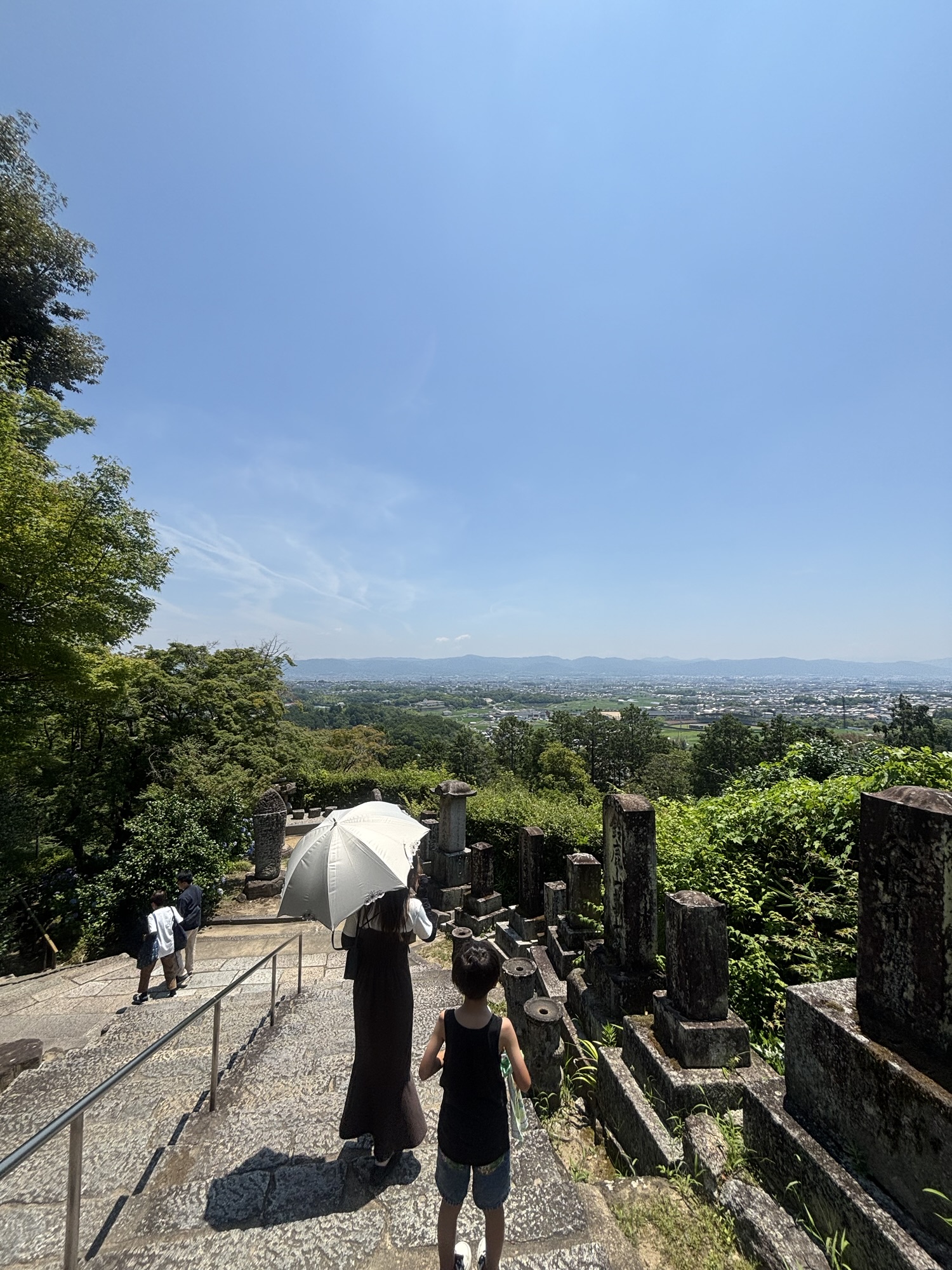 【奈良県観光/奈良公園/家族旅行/日帰り旅行】